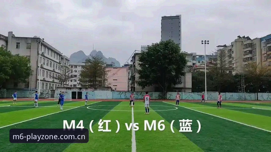 M6体育vsM6娱乐：2024安卓版选择指南，哪个更适合你？